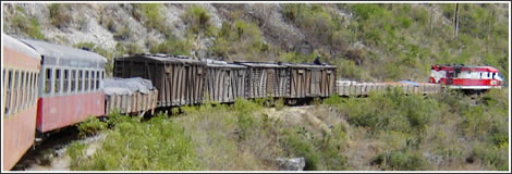 tren macho ordinary train